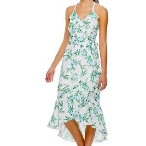 Disney Princess Floral Dress